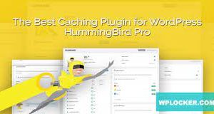 Hummingbird Pro plugin [v3.6.1]