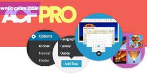 [ACF] Advanced Custom Fields Pro Plugin v6.2.4