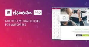 Elementor Pro3.18.2 (Pro Templates)