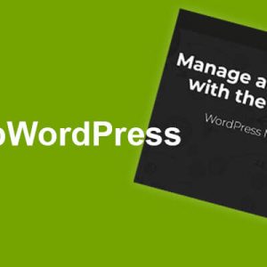 MainWP BackUp WordPress Extension