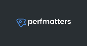 Perfmatters Plugin [v2.2.3]