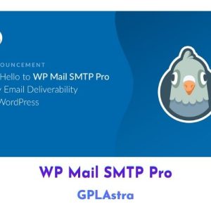 WP Mail SMTP Pro . v3.11.0